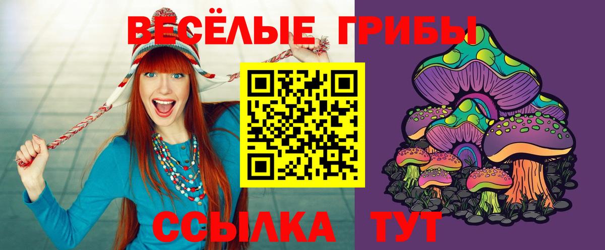 Похвистнево  Галлюциногенные грибы мицелий  Вход с VPN 